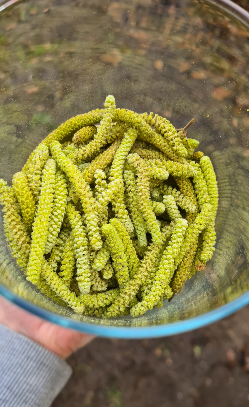 nk user gallery 2 - LeczNaturalnie.pl